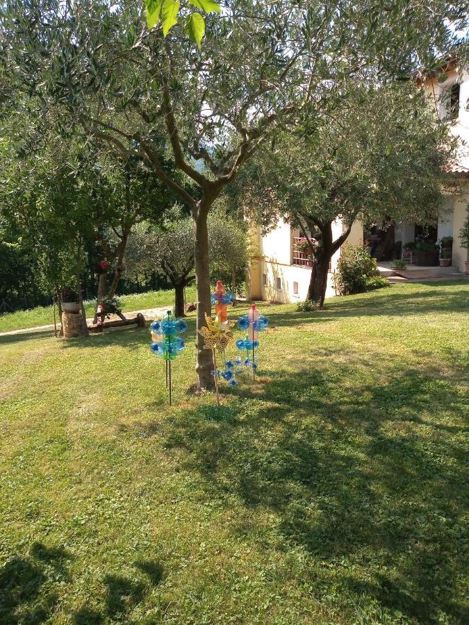 B&B Santa Fosca Pederobba Eksteriør bilde